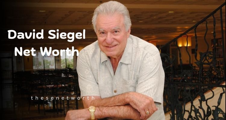 David Siegel Net Worth 2024