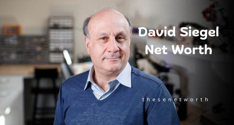 David Siegel Net Worth