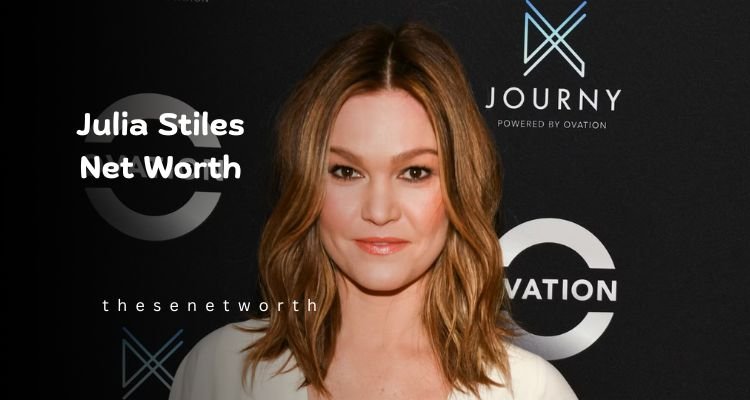 Julia Stiles Net Worth