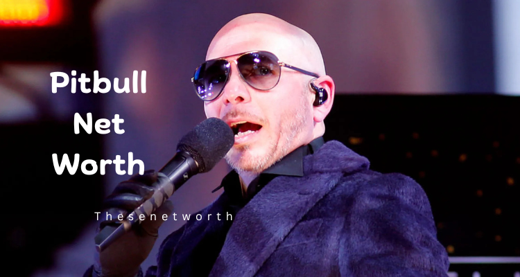 Pitbull’s Net Worth