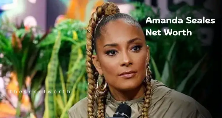 Amanda Seales Net Worth 2025